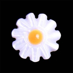 Madre Perla Margarita 10mm- Blanca (1 pza)
