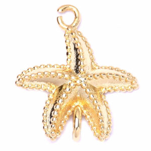 Chapa Oro Separador Estrella Mar 12mm (1 pza)