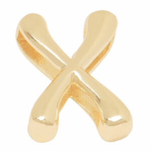 Chapa Oro Letra Transversal Inflada X - 14mm (1 pza)