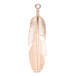 CDL Chapa Oro Dije Pluma 55mm (1 pza)